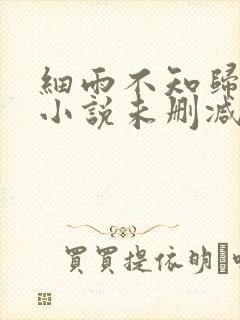 细雨不知归原著小说未删减版