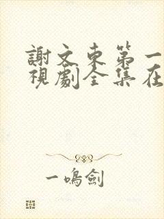 谢文东第一季电视剧全集在线观看高清