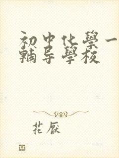 初中化学一对一辅导学校