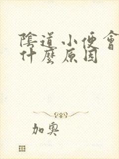 阴道小便会痛是什么原因