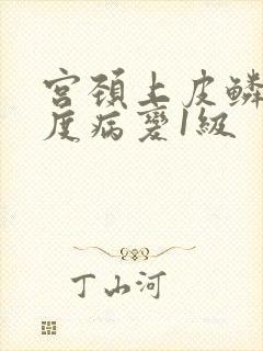 宫颈上皮鳞状低度病变1级