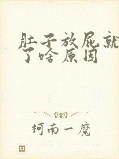 肚子放屁就舒服了啥原因