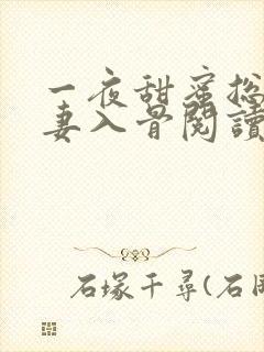 一夜甜蜜总裁宠妻入骨阅读全文