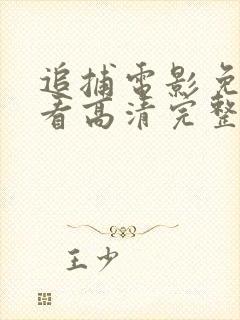 追捕电影免费观看高清完整版