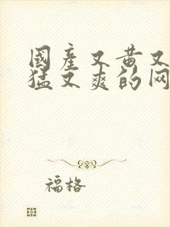 国产又黄又粗又猛又爽的网址