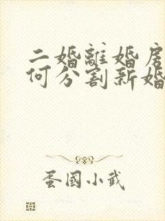 二婚离婚房产如何分割新婚姻法