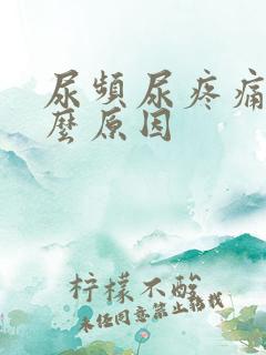 尿频尿疼痛是什么原因