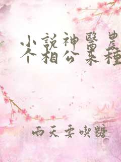 小说神医农女买个相公来种田