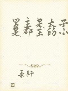 男主是太子女主是郡主的小说