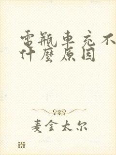 电瓶车充不进电什么原因