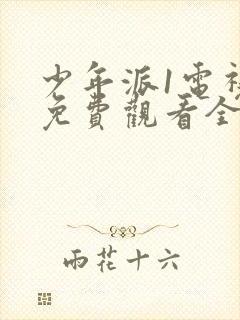 少年派1电视剧免费观看全集完整版