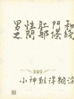 男性肛门和睾丸之间那条线上小肉球