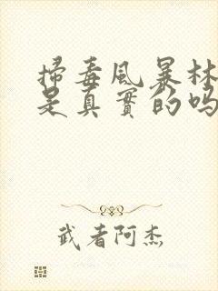 扫毒风暴林强峰是真实的吗