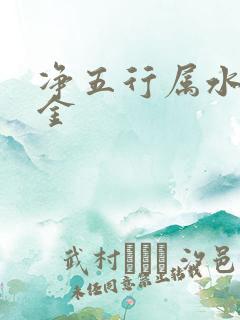 净五行属水还是金