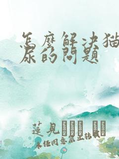 怎么解决猫咪乱尿的问题