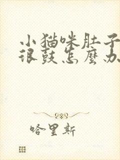 小猫咪肚子很大很鼓怎么办