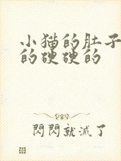 小猫的肚子鼓鼓的硬硬的