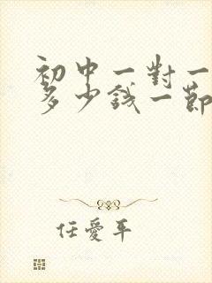 初中一对一辅导多少钱一节课