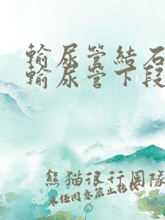 输尿管结石卡在输尿管下段症状