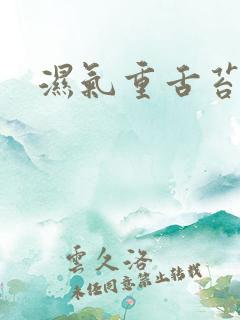 湿气重舌苔黄厚