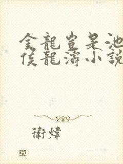 金龙岂是池中物侯龙涛小说