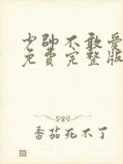 少帅不敢爱短剧免费完整版