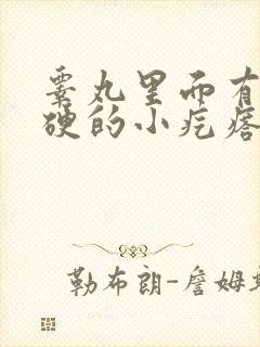 睾丸里面有个硬硬的小疙瘩很疼