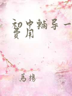 初中辅导一对一费用