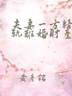 夫妻一方精神出轨离婚财产分割