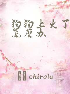 狗狗上火了尿黄怎么办