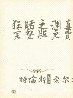 狂赌之渊真人版完整版免费的