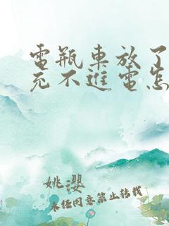 电瓶车放了几天充不进电怎么回事