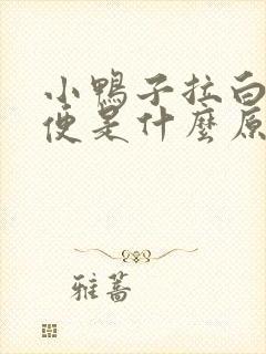 小鸭子拉白色稀便是什么原因