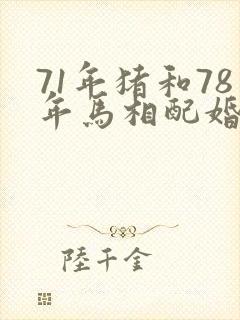 71年猪和78年马相配婚姻如何