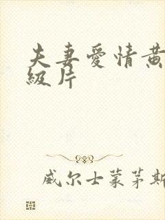 夫妻爱情黄色一级片