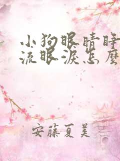 小狗眼睛睁不开流眼泪怎么回事