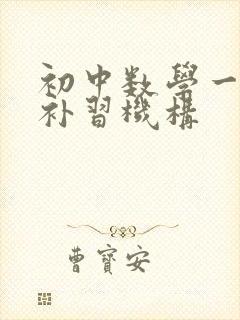 初中数学一对一补习机构