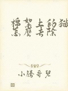 棉絮上的猫尿味怎么去除