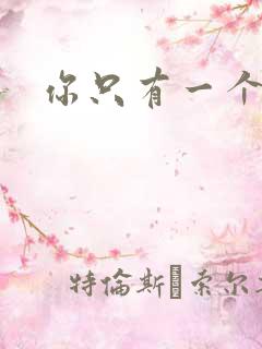 你只有一个