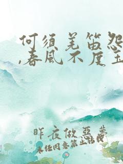 何须羌笛怨杨柳,春风不度玉门关的意思