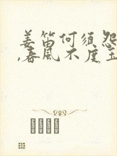 姜笛何须怨杨柳,春风不度玉门关