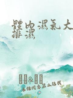 体内湿气大如何排湿