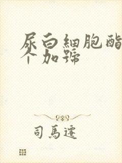 尿白细胞酯酶一个加号