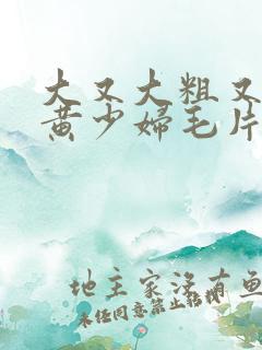 大又大粗又爽又黄少妇毛片免费