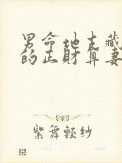 男命地支藏干里的正财算妻子吗