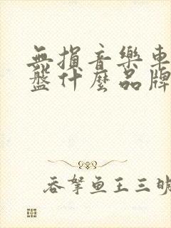 无损音乐车载u盘什么品牌好