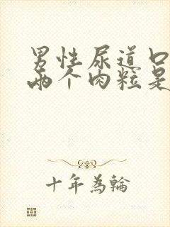 男性尿道口长了两个肉粒是怎么回事