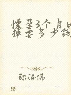 怀孕3个月内打掉要多少钱