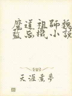 魔道祖师魏无羡蓝忘机小说免费的