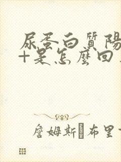 尿蛋白质阳性1+是怎么回事